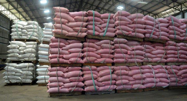 Fishmeal Market Turns Bearish On Good Production, ASF, High China Stocks